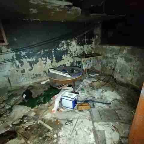 8031 conger (78).jpg